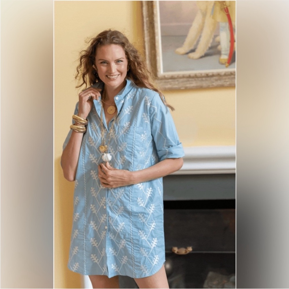 Light Blue Embroidered Shirt Dress
